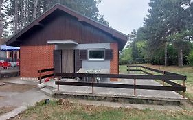House For Us Vinci